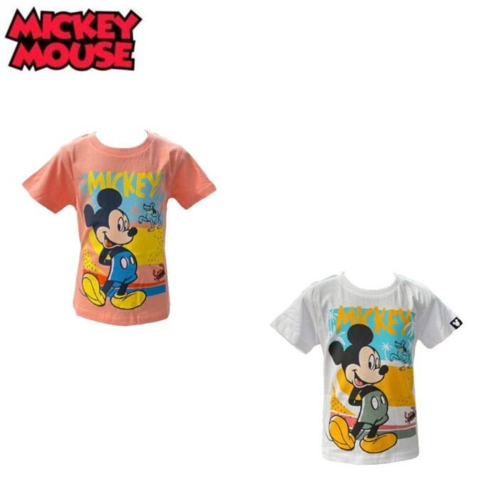 T-SHIRT BOY MICKEY AND FRIENDS